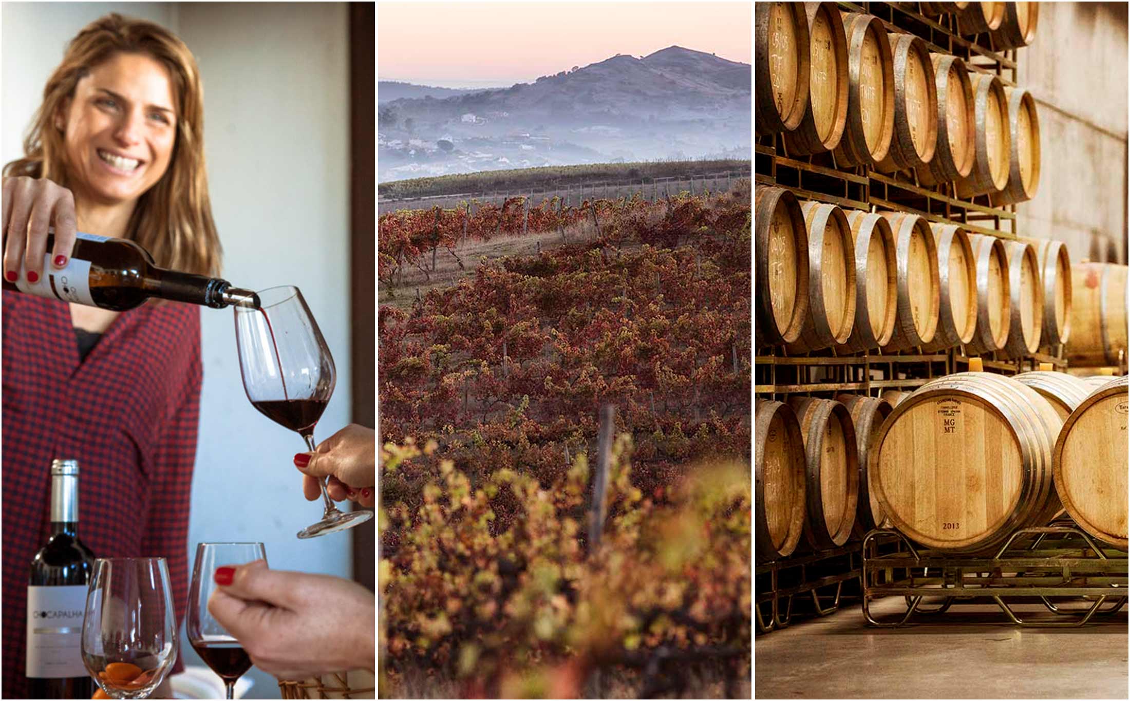 Heritage and Quinta de Chocapalha offer Wine Tourism